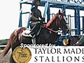 Belmont Stakes News Minute - 06 08 11 | BahVideo.com
