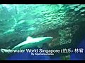Singapore Underwater World | BahVideo.com