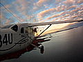 Flying Wild Alaska Bird Strike Baptism | BahVideo.com