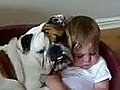 British Bulldog Missy watches over little baby H | BahVideo.com