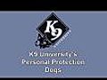 Personal Protection Dog - Doberman | BahVideo.com